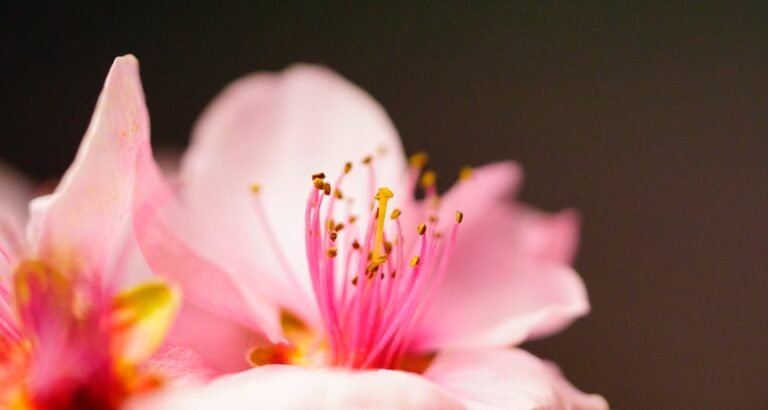 Follow These Tips For A Wonderful New Look