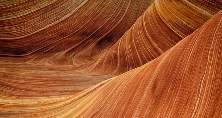 Beauty 101: Some Tips And Tricks To Look Your Best