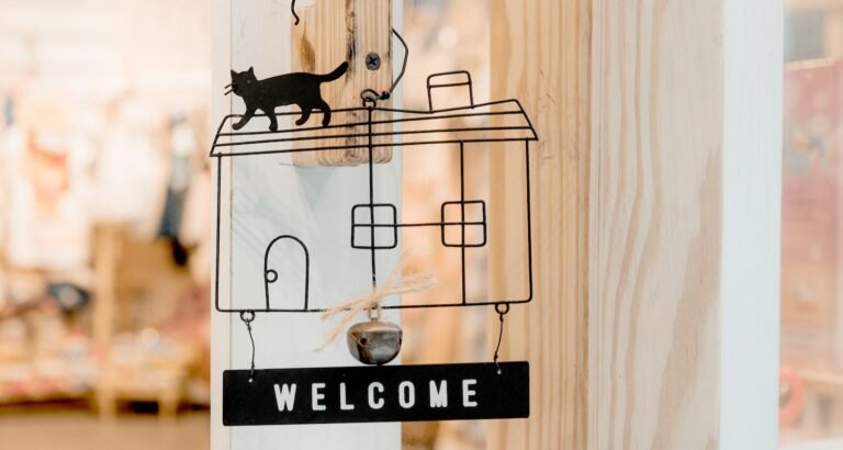 You Can Get Good Information And Learn More About Cats In The Article Below