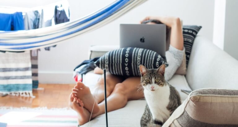 Use These Cat Tips And Tricks Today!