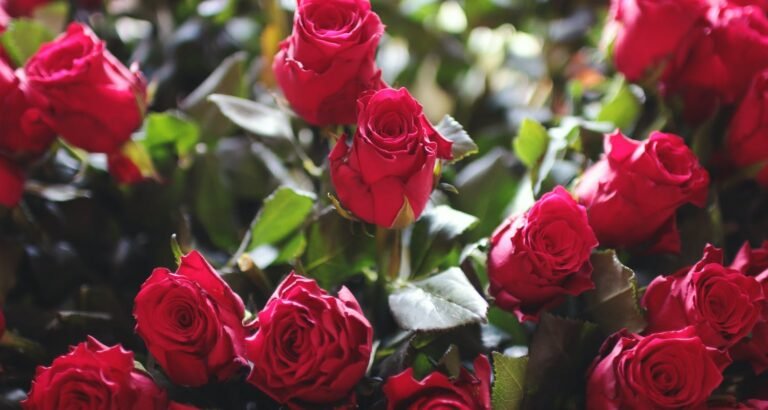 Great Tips On How To Look Beautiful